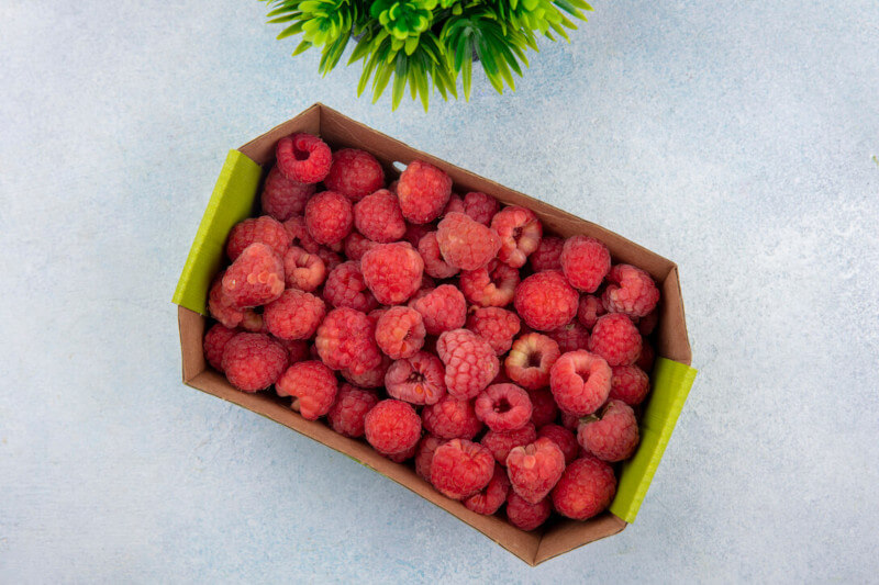 Opakowania tekturowe dla rolnictwa i sadownictwa